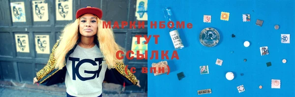 крисы Абаза