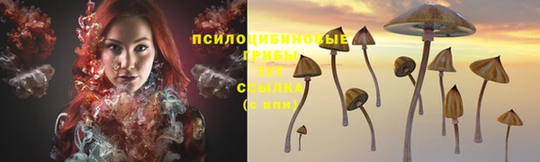 эйфоретик Алексеевка