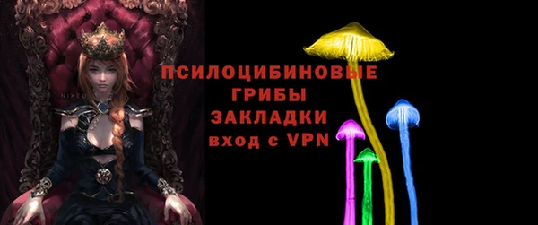 крисы Абаза