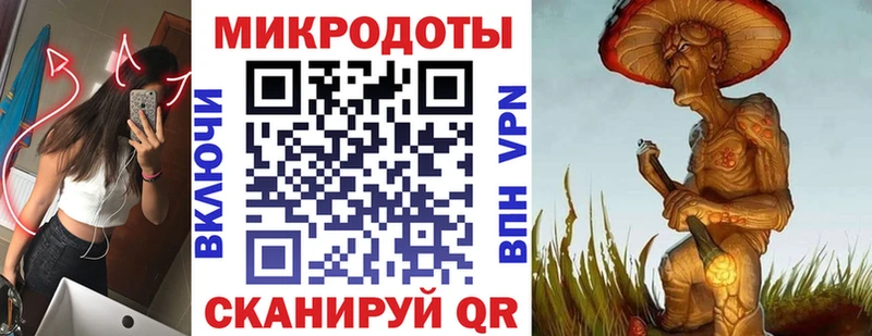 kraken tor  Звенигород  Псилоцибиновые грибы Cubensis  что такое  