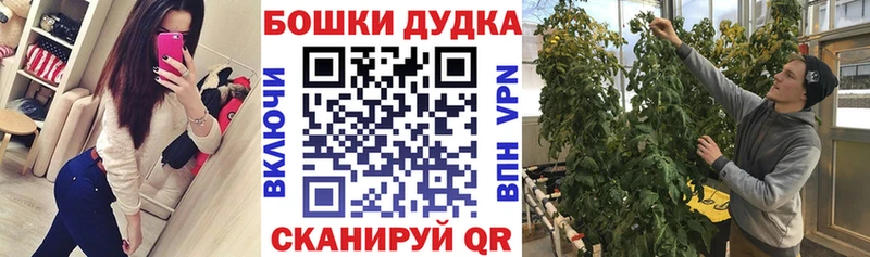 Каннабис MAZAR Звенигород